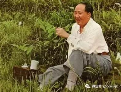 湘西土家莓茶的传说和由来简介,土家神茶茅岩莓湖南张家界