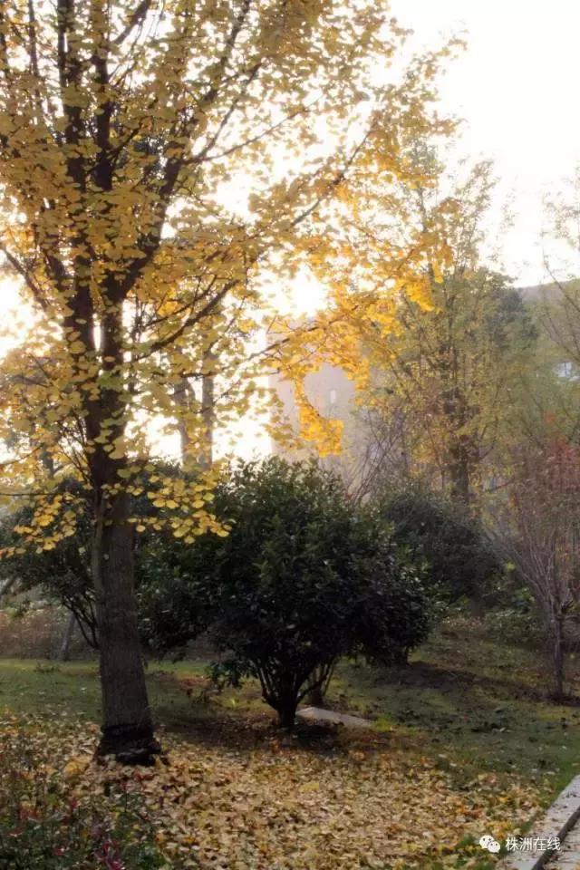 二中今年考得怎么样,二中好进吗