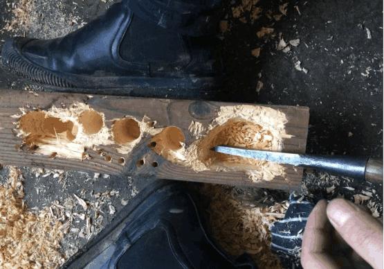 多肉可以用木头种植吗,在家养多肉省钱的最高境界