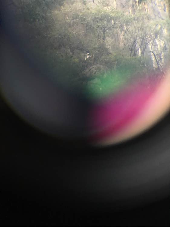 大疆精灵3se自动返航如何操作,大疆精灵3a怎样调一键返航高度