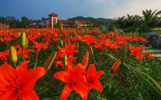 江油值得一逛,江油小城美不美