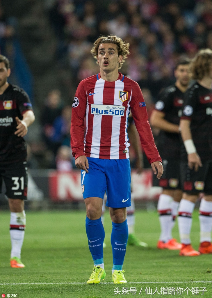 仙人指路股票指标,仙人指路最新推荐