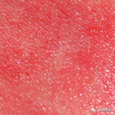 黄皮妹子必备的秋冬唇釉,黄皮妹纸必剁手100支口红