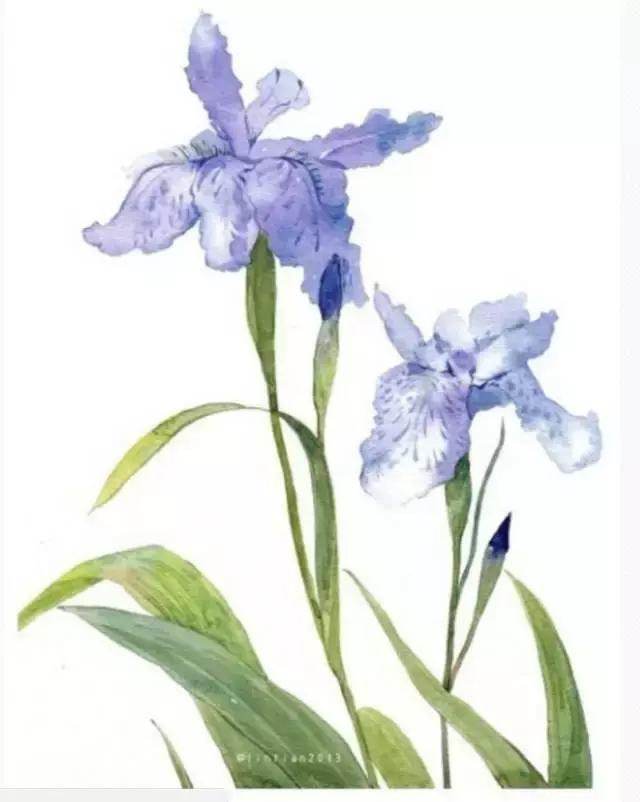 有什么歌能让人想起童年回忆,有没有一首歌能让你回到过去