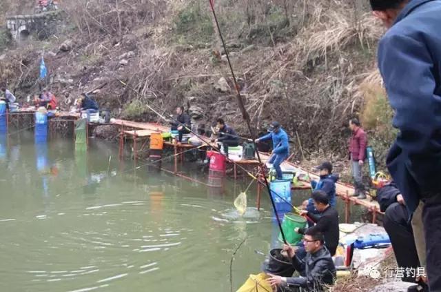 慈利县钓鱼比赛,湖南钓鱼比赛湘窖杯冠军