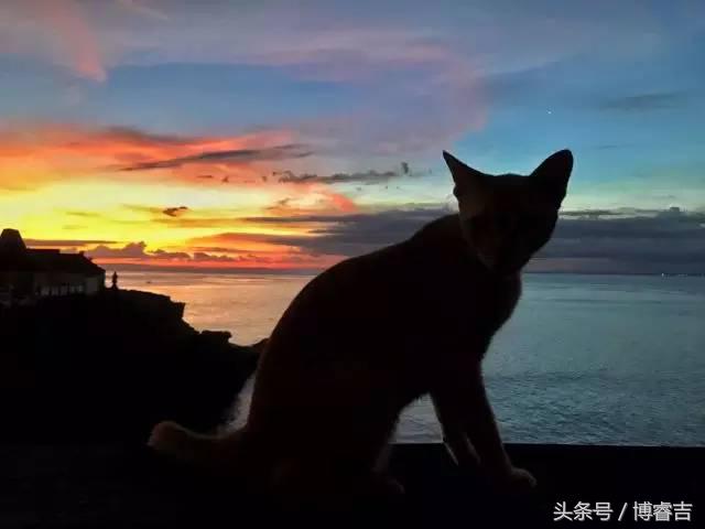 体验过你从未体验过的情感,体验你没体验过的人生