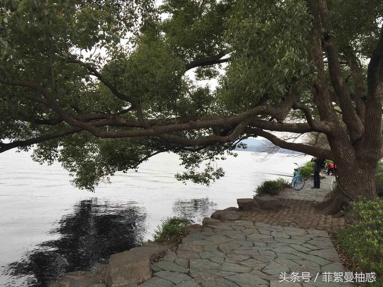 结束了钓鱼一天的疲惫,休息一天明天继续钓鱼