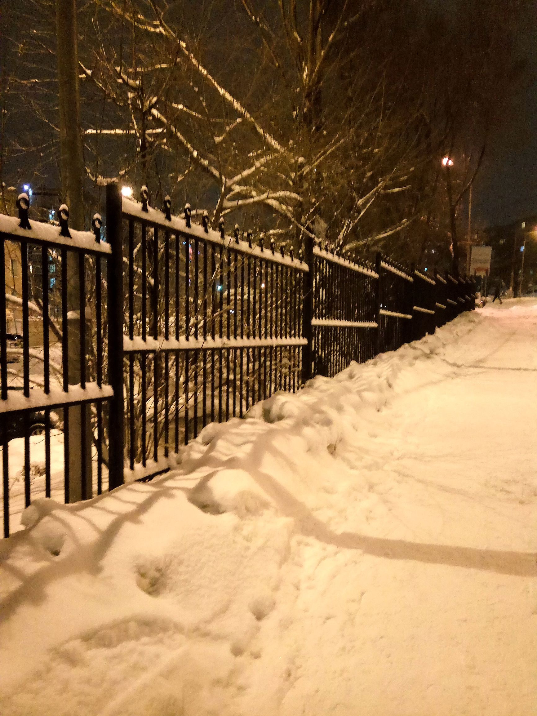 老王旅游记最新视频,老王游记之上海海南三亚自驾游