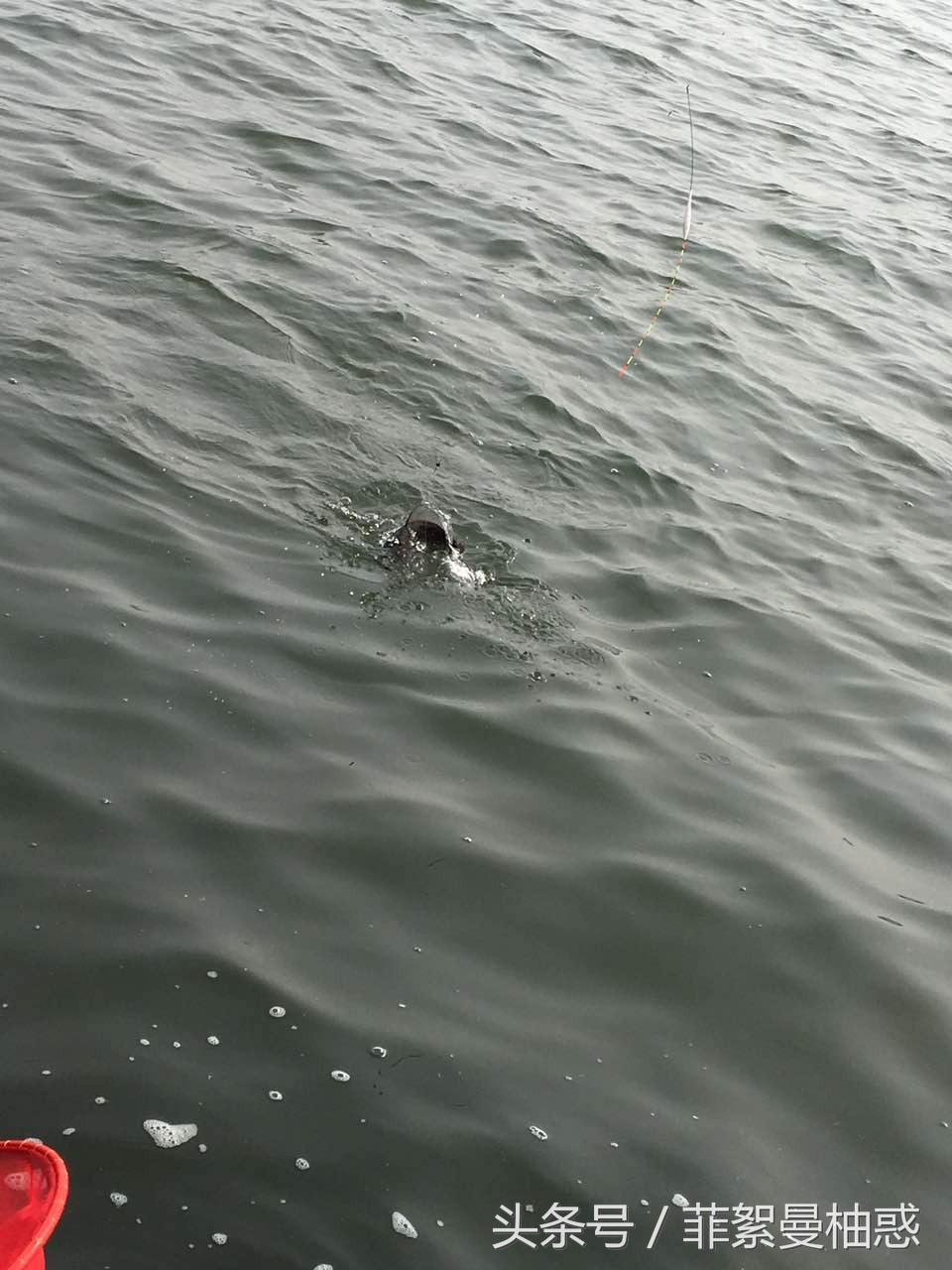 结束了钓鱼一天的疲惫,休息一天明天继续钓鱼