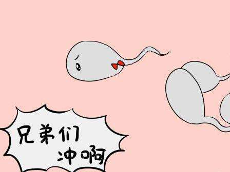 怎样备孕才能快速怀孕,想要快速怀孕吃什么药