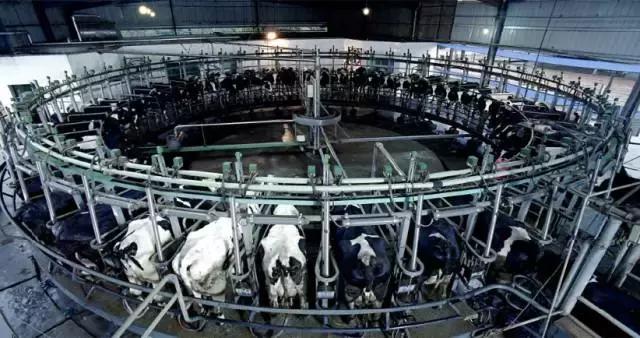 被央视通报过的奶粉品牌,被央视点名的网红奶茶