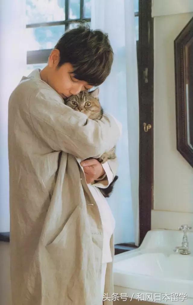 佐藤健在日本女性心中的地位,佐藤健颜值巅峰图片