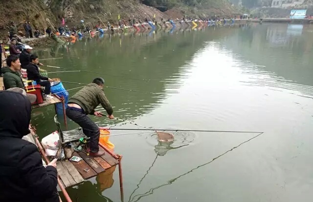 「八」钓线篇,下:颜色不代表线的好坏,细节能看出质量的深度