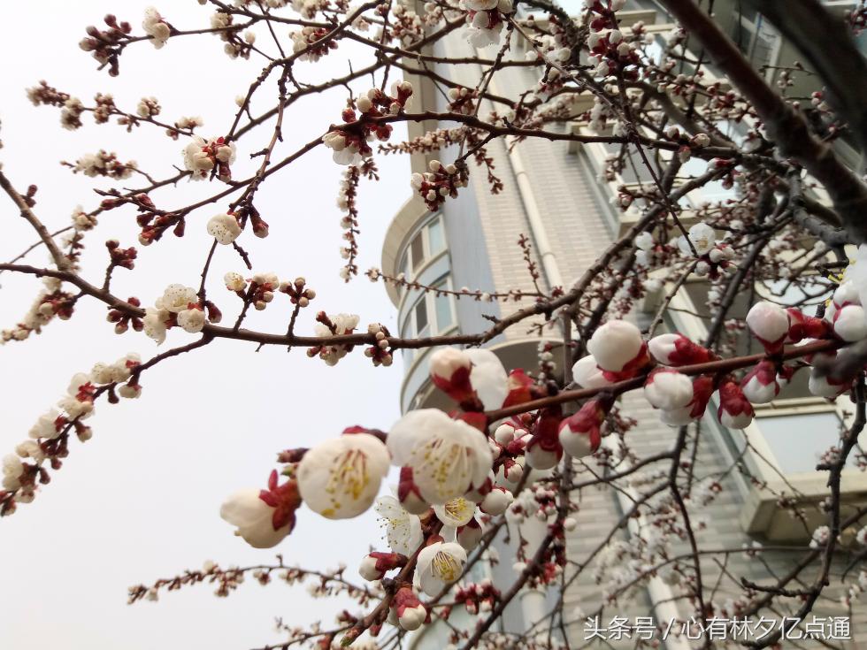 1600万全景摄像头,1600万前置摄像头好用吗