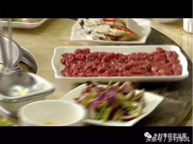 养驴场大规模养驴,年入百万不是能力而是选择