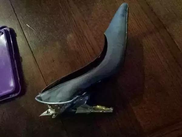 只有养鼠才知道的恶趣味,只有养狗狗的才知道萌宠的乐趣