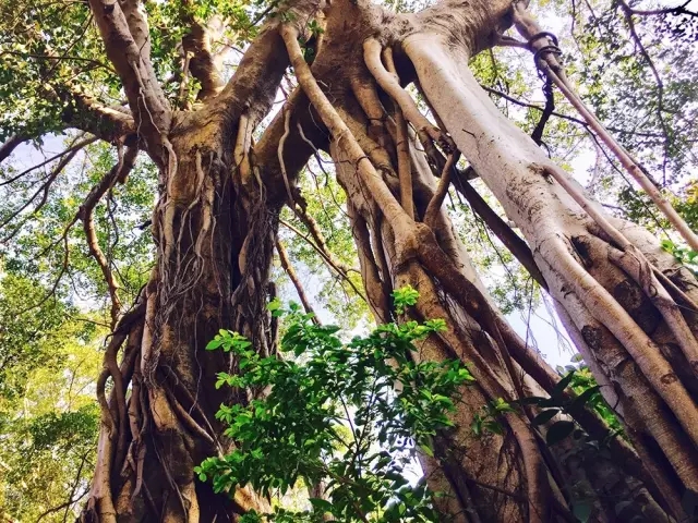 <html>
<head><title>502BadGateway</title></head>
<body>
<center><h1>502BadGateway</h1></center>
<hr><center>nginx</center>
</body>
</html>
<!--apaddingtodisableMSIEandChromefriendlyerrorpage-->
<!--apaddingtodisableMSIEandChromefriendlyerrorpage-->
<!--apaddingtodisableMSIEandChromefriendlyerrorpage-->
<!--apaddingtodisableMSIEandChromefriendlyerrorpage-->
<!--apaddingtodisableMSIEandChromefriendlyerrorpage-->
<!--apaddingtodisableMSIEandChromefriendlyerrorpage-->
