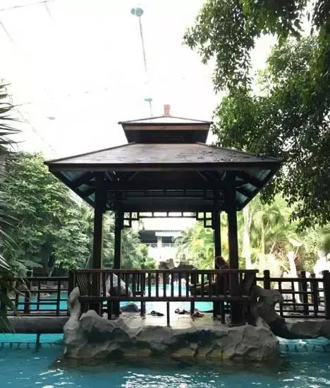 一起泡个温泉,温泉泡池冬天来一场暖暖温泉旅行