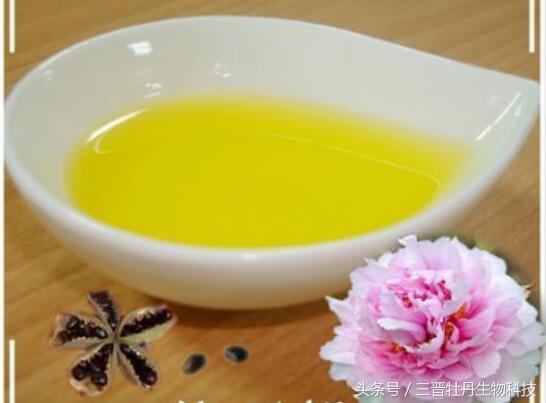 眼中的dha是什么样的,dha是什么玩意儿