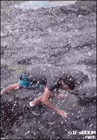 被蜜蜂蛰是什么感觉,被蜜蜂蛰了一下发现是触电的感觉