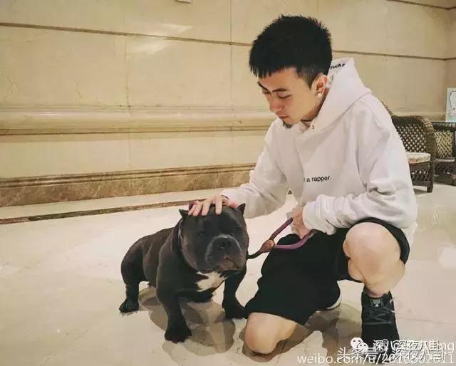 秦奋颜值巅峰,秦奋为啥有识宝能力