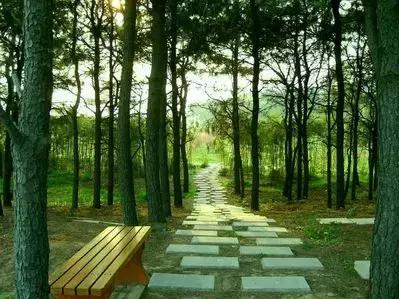 致镇江第一中学：我凭什么忘不了你