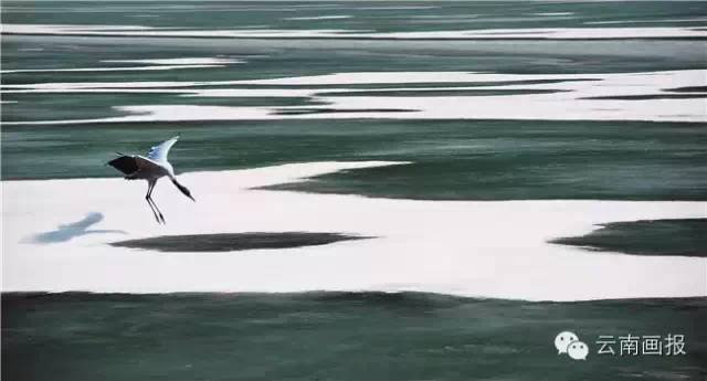 云南省什么地方风景区最好,云南生态环境最好的地方