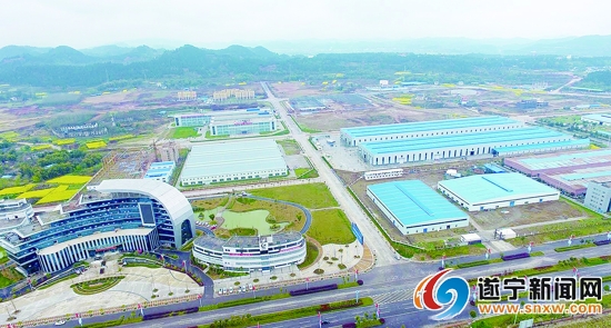 四川绿然科技集团财务状况,四川绿然集团业务