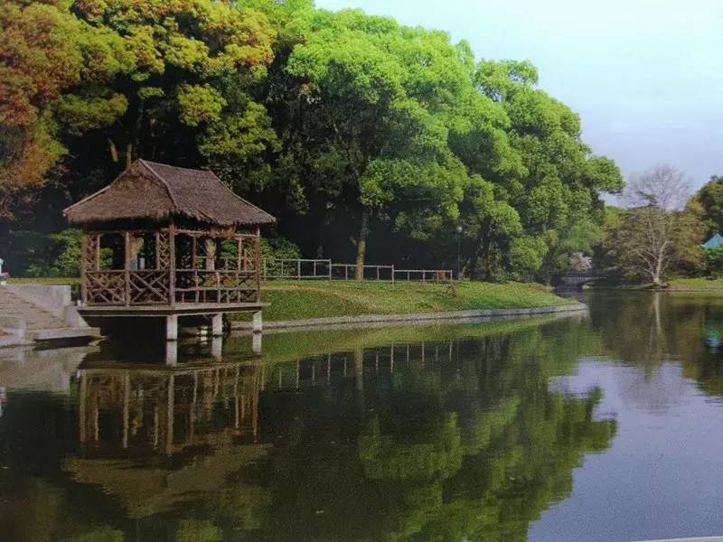 西郊宾馆环境介绍,西郊宾馆的历史了解一下