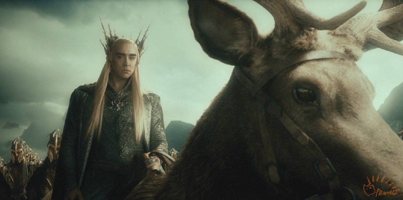 海牛电台37-塔里克：渎职背后的隐情