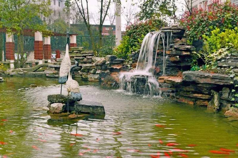 2021年贵阳中考体育地点,贵阳中考体育考试视频