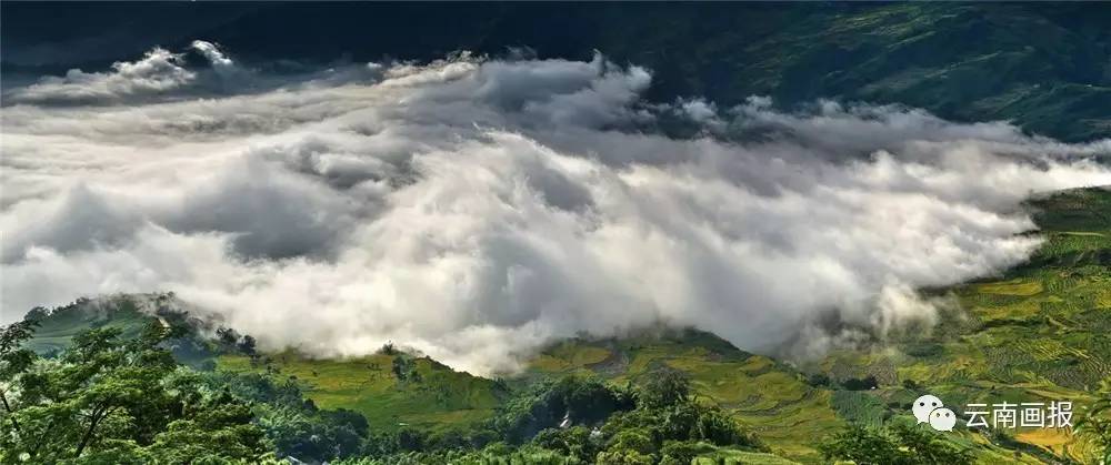 云南省什么地方风景区最好,云南生态环境最好的地方