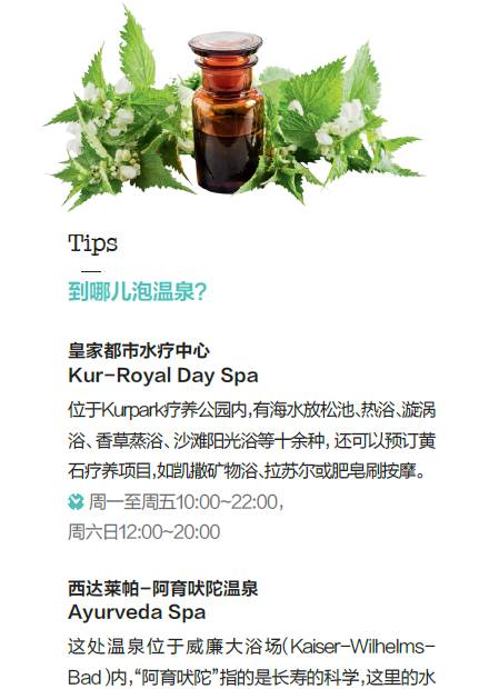 绿穹之下，感受德国中部的另一种美