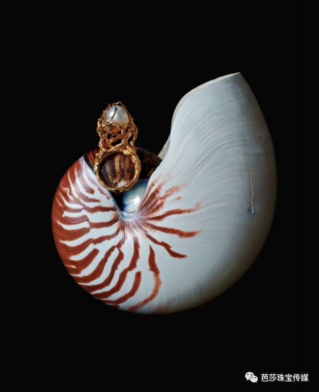 珍珠家族那么大，挑花眼了吗？搞懂四件事，选到最对的！