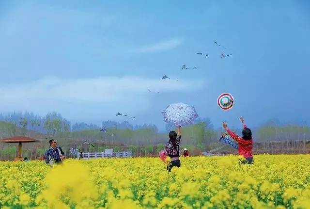 「诗词原创」闫鹏｜我辈当书胜绩激流犹待扬帆