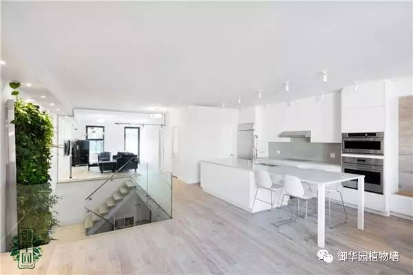 禅意风植物墙,特色植物墙