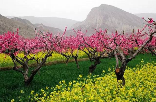 青海一年四季的变化,青海的冬天是什么样的