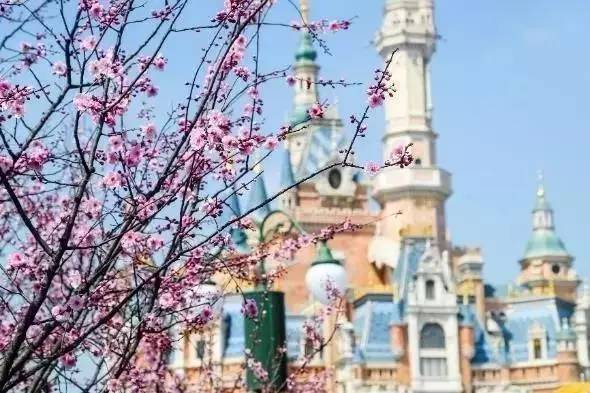 昕乐活｜春季玩转游乐园，找回你最真的童心！