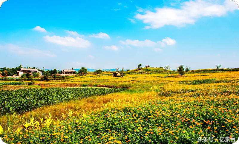 九龙坡网红景点有哪些,九龙坡十大必去景点免费