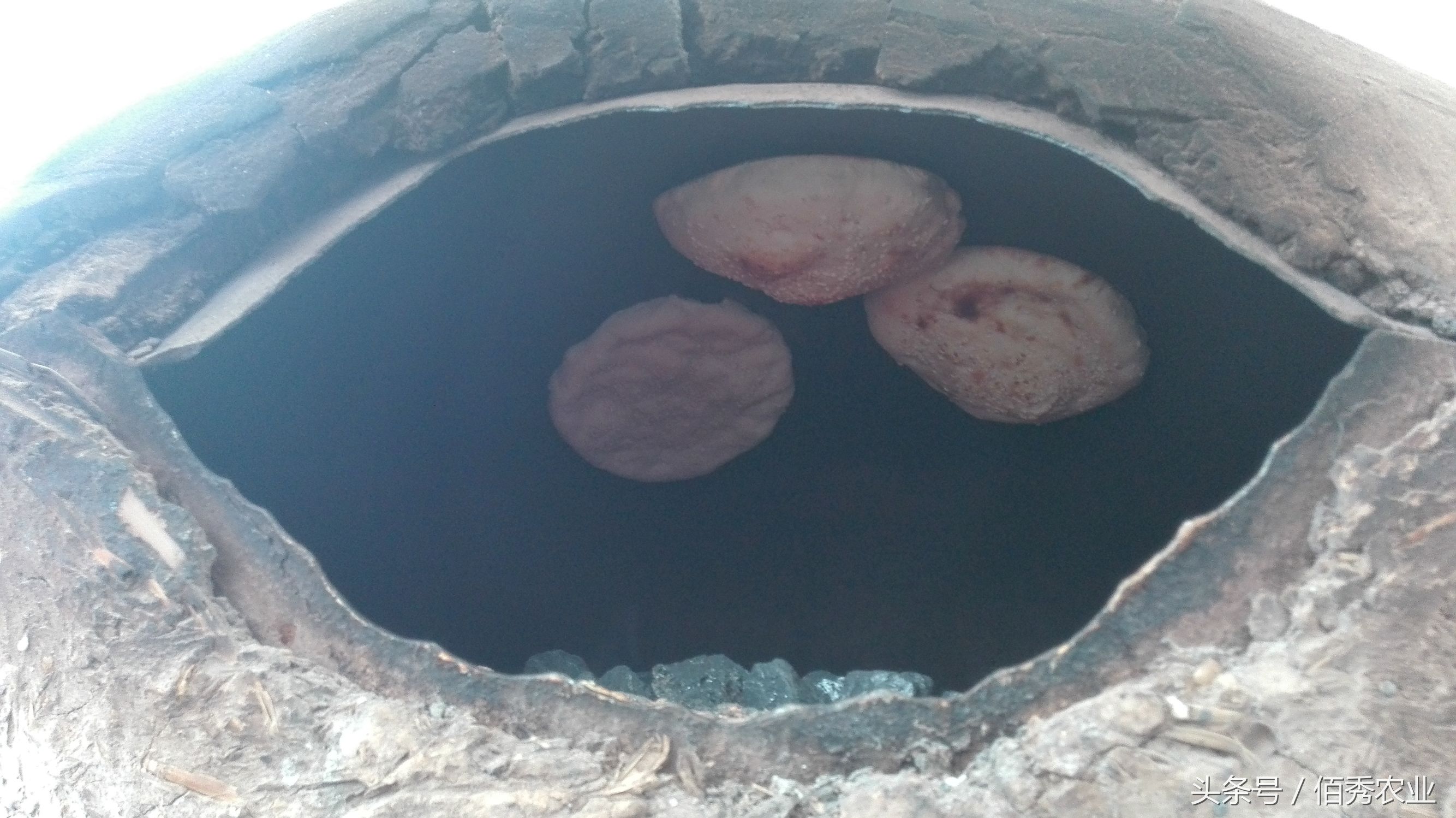 农村小伙日赚千元的生意经历,做小生意每天能挣300块就很满足