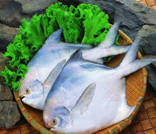 清蒸鲳鱼最简单好吃的做法,清蒸鲳鱼的做法最好吃又简单