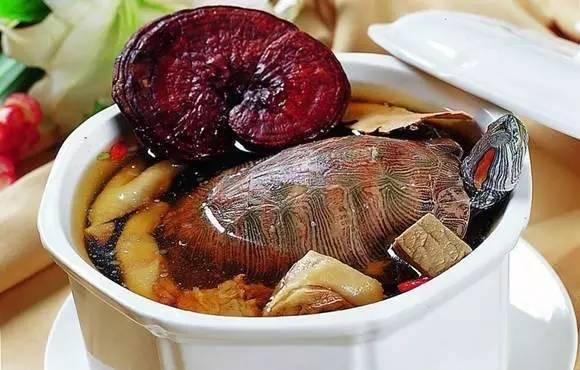 广东婆婆煲广东靓汤,外来媳妇本地郎煲汤