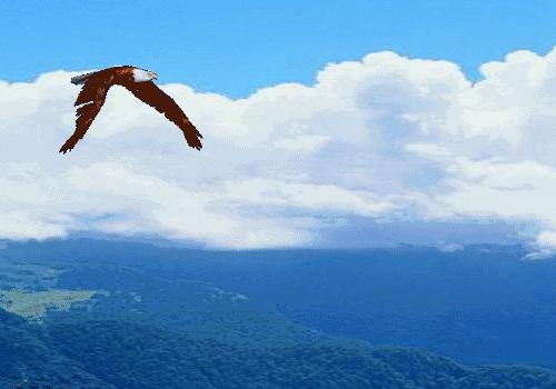 永远不要嘲笑别人的梦想，我们每个人都有更多的可能性