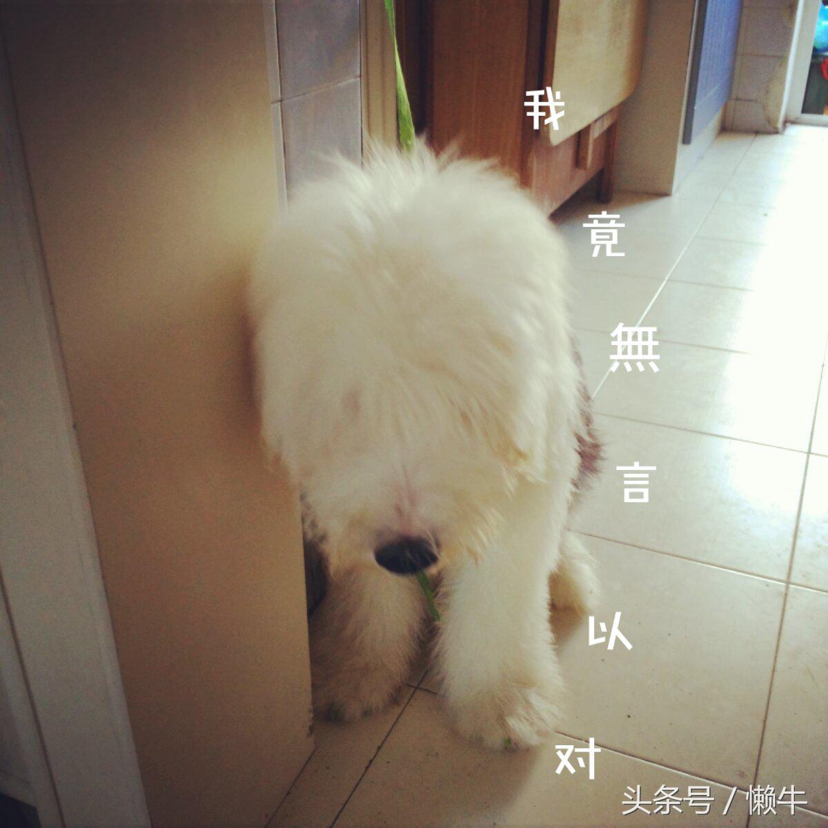 做一个新农人很容易吗,做新农人辛苦吗