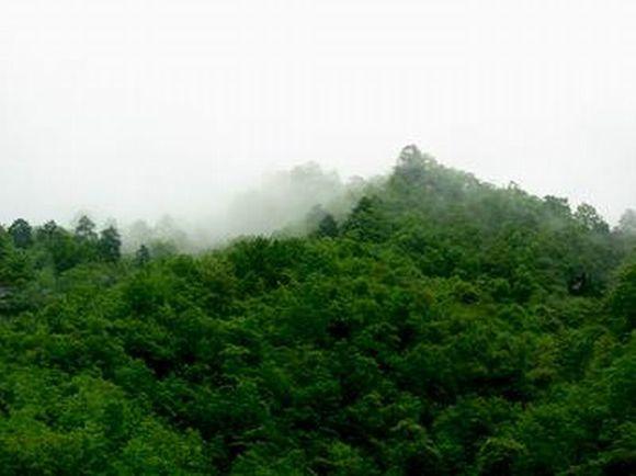 钓鱼人的人生感悟的经典句子,钓鱼人的情怀短句