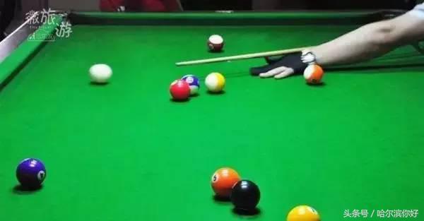 哈尔滨五一小长假去哪看花,哈尔滨五一能看花的地方