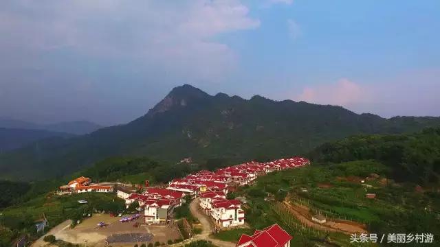 美丽乡村森林图片,洋畲村乡村旅游景点