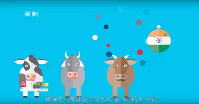 又是a2!中国情侣拿走华人妈妈奶粉钱后消失,几罐奶粉至于么?