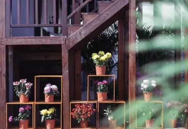 春风十里,不如睡你,南京这些特色旅馆,美貌又舒适!