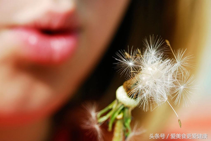 蒲公英不是一吹就散吗,蒲公英应该怎么用